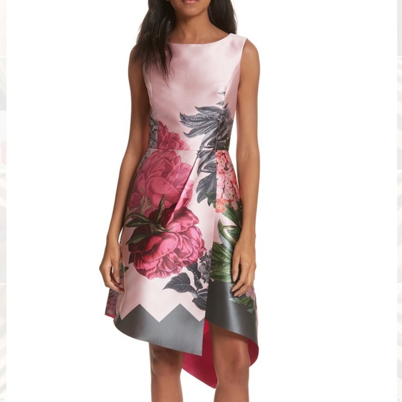 Ted Baker London Dresses & Skirts - Ted Baker London Palace Gardens Fold Dress 👗